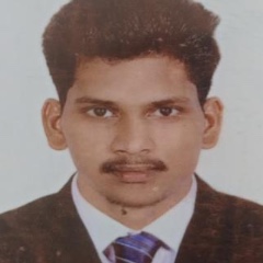 Rajarajacholan P.