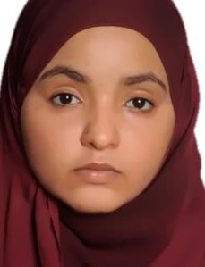 ALAA JABER
