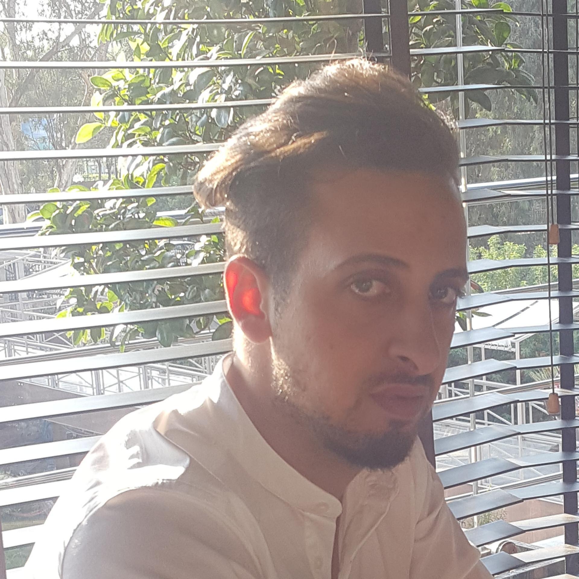 Ahmed Sherif Abdelhamid