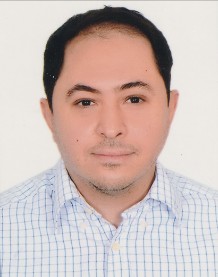 WAEL WAHEED